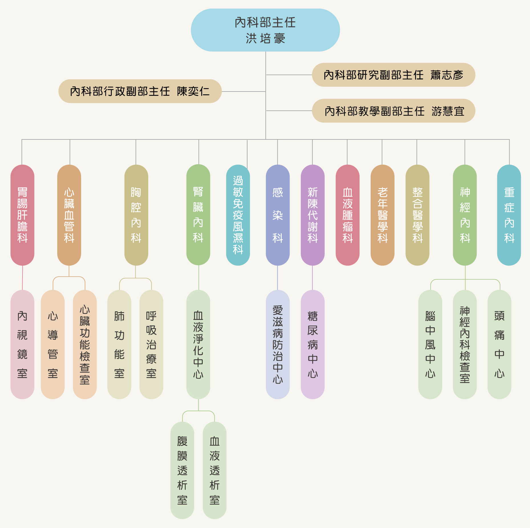 嘉基內科部-組織圖